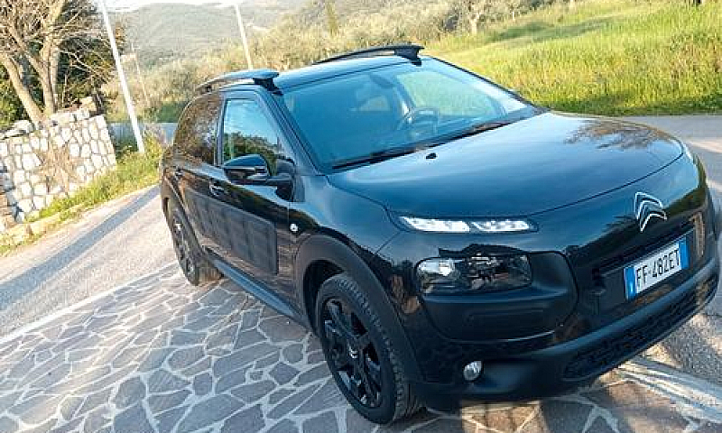 C4 Cactus Unipro Km ...