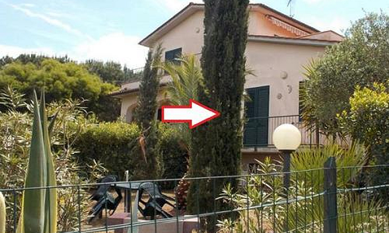 Elba Dal 29 Agosto A...