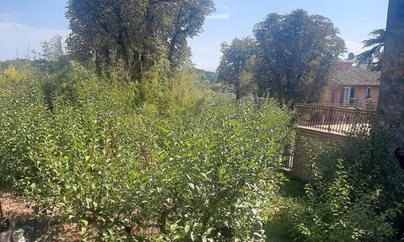 Appartamenti Da Rist...