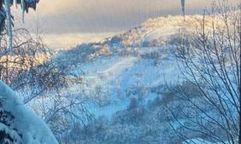 Appartamenti Di Mont...