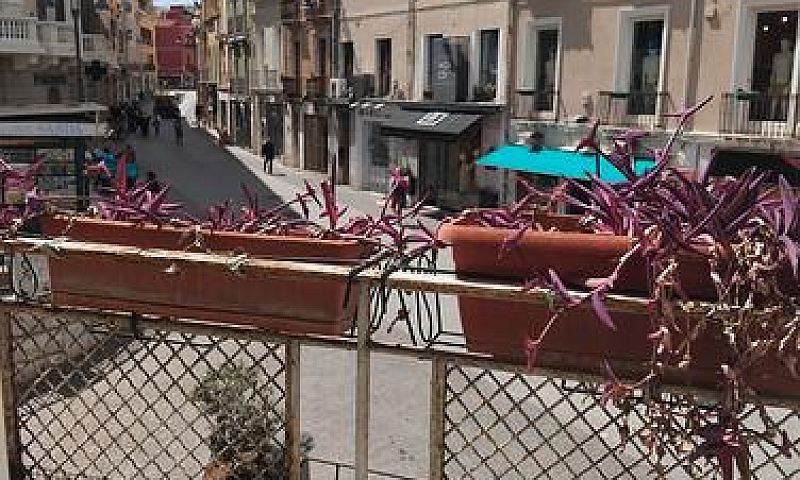 Cagliari, Via Gariba...