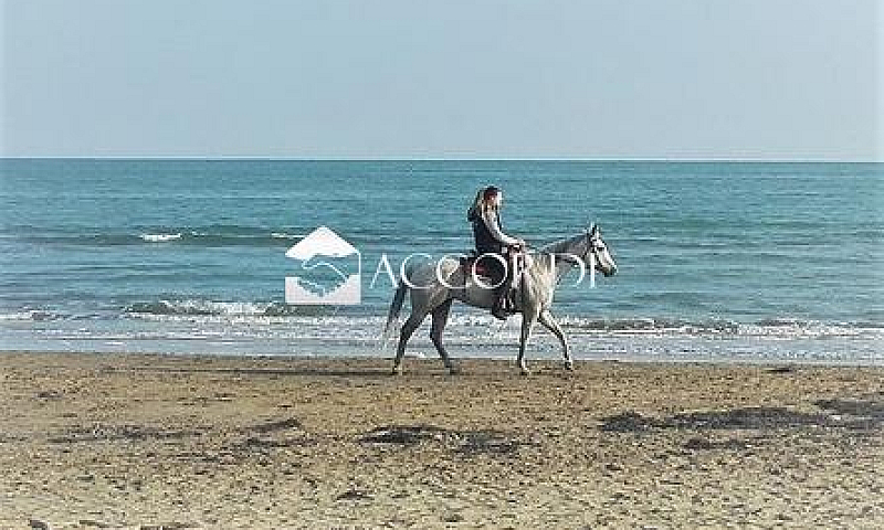 Rif.ap42_8| Appartam...