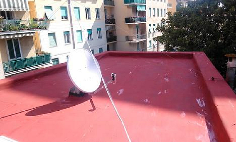Zona Calzabigi Palaz...