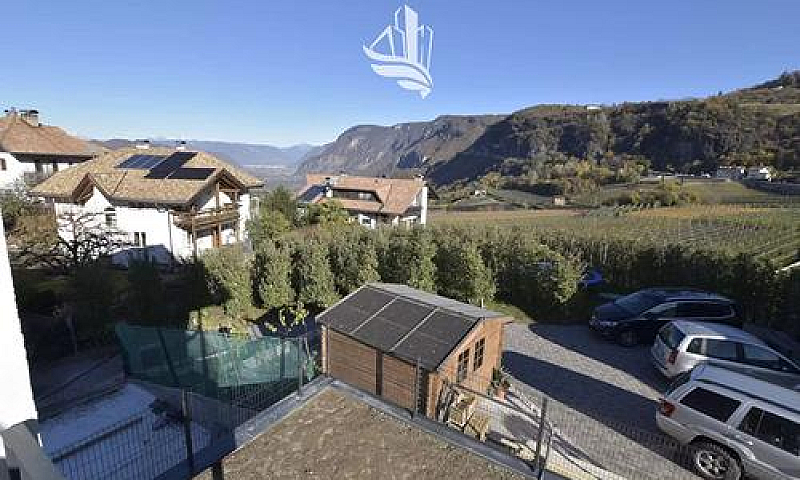 Montagna: Nuovo Atti...