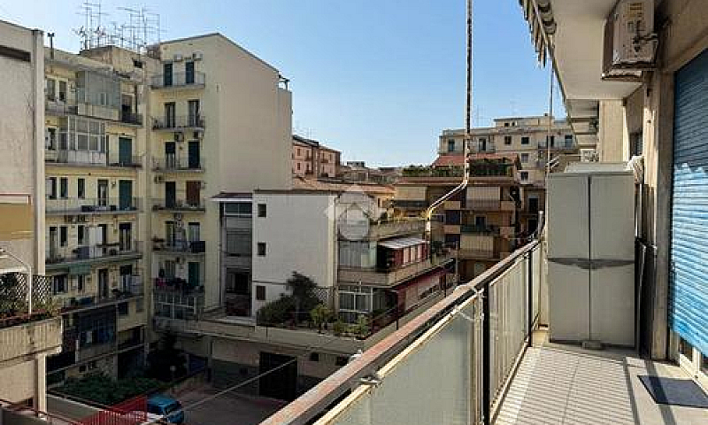 Rapisardi Basso-3 Va...