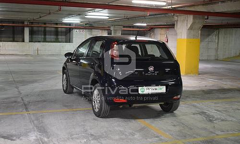Fiat Punto 1.4 8V 5 ...
