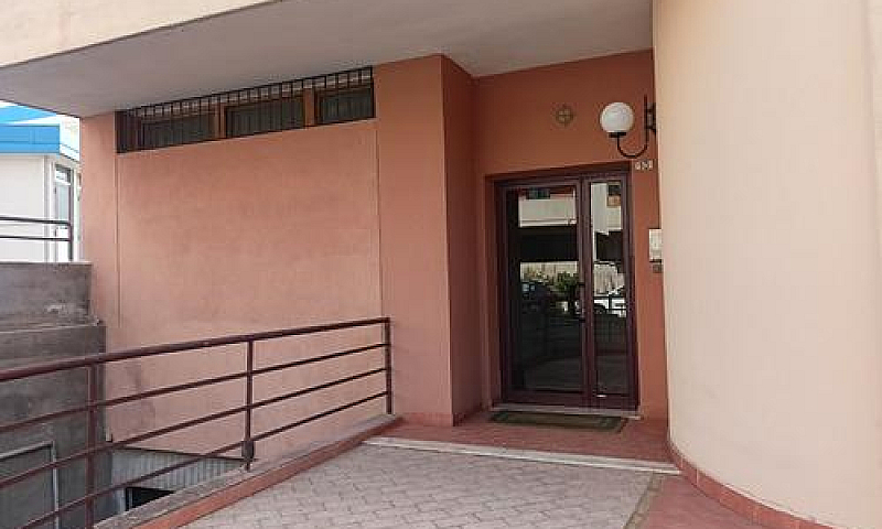 Zona Università, Tri...