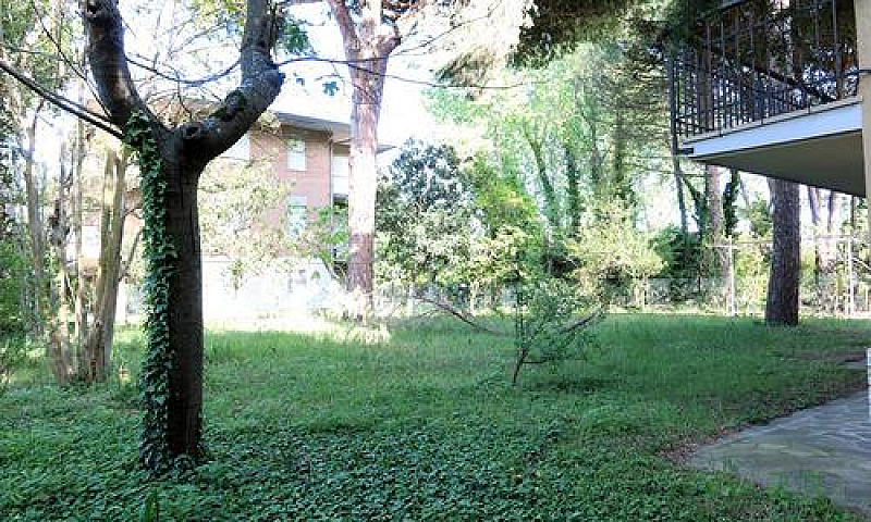 Trilocale A Cervia...