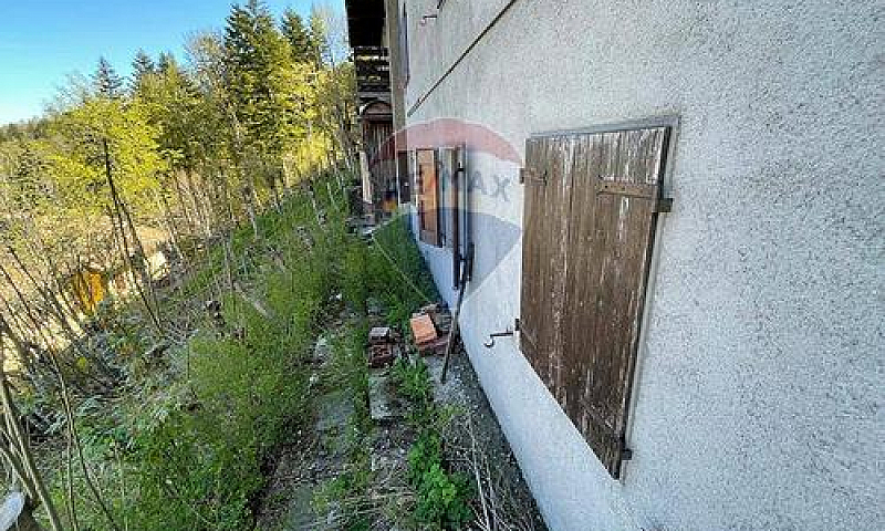 Altro - Abetone Cuti...