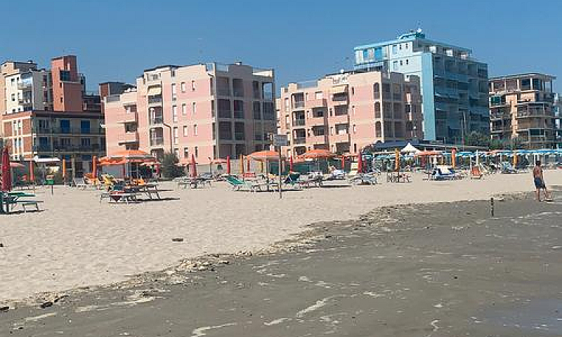 App. Sul Mare A Lido...