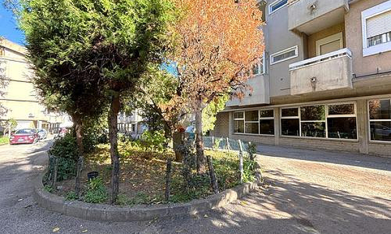3 Locali A Viterbo...