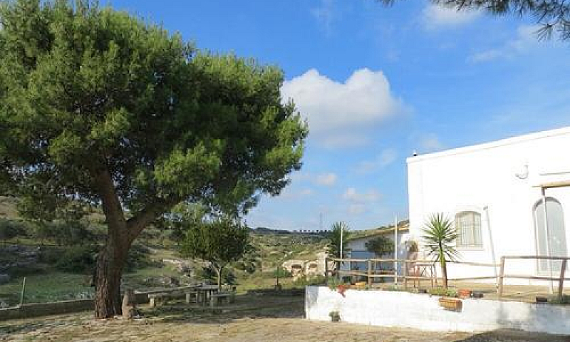 Casale Con Terreno E...