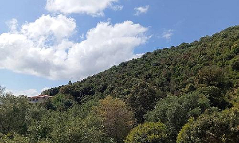 Terreno Edificabile ...