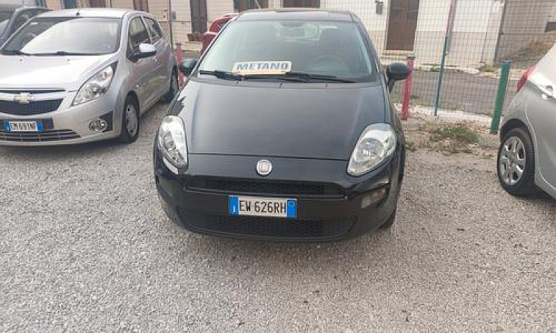 Fiat Punto 1.4 8V 5 ...