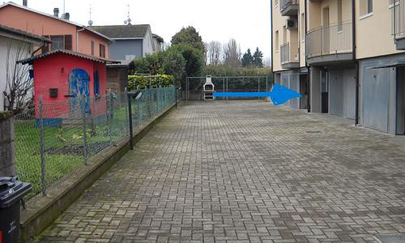 Lentigione - Quadril...