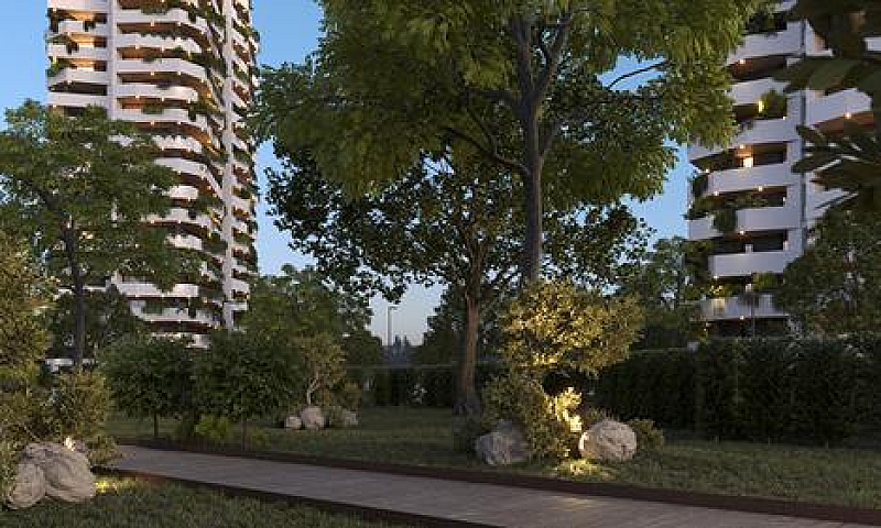 Zairo Urban Forest |...