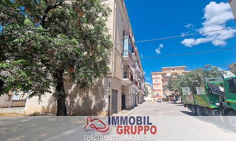 Zona Questura Appart...