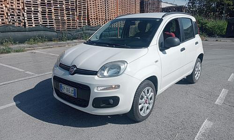 Panda Benzina Metano...