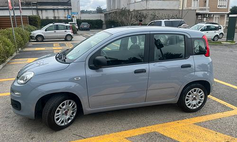 Vendita Fiat Panda...