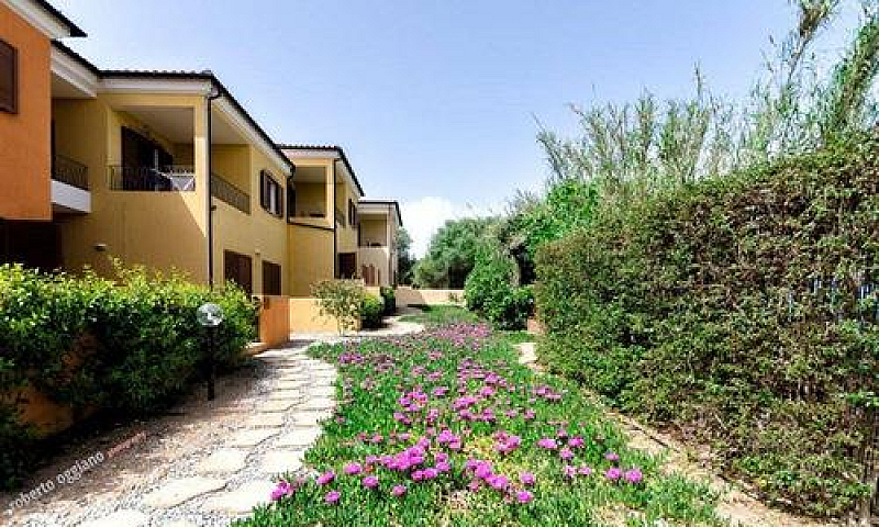 Appartamento - Palau...