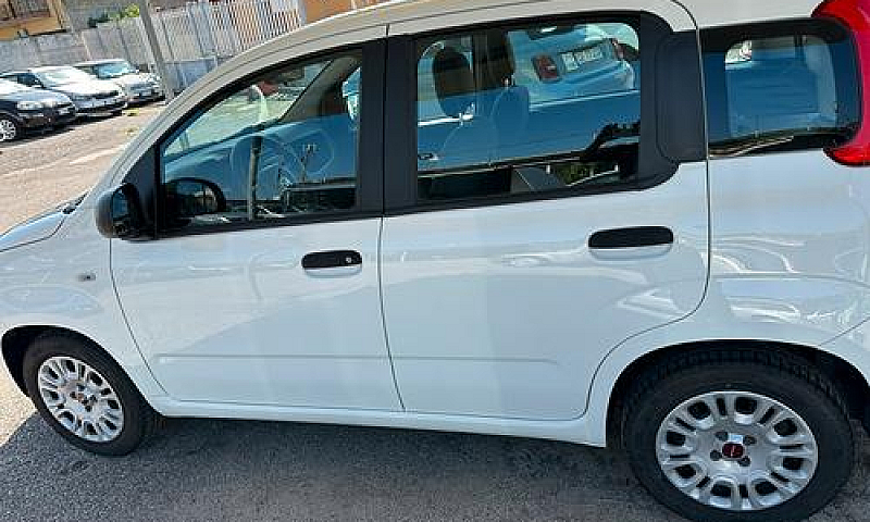 Panda 1.2 Gpl 2020...