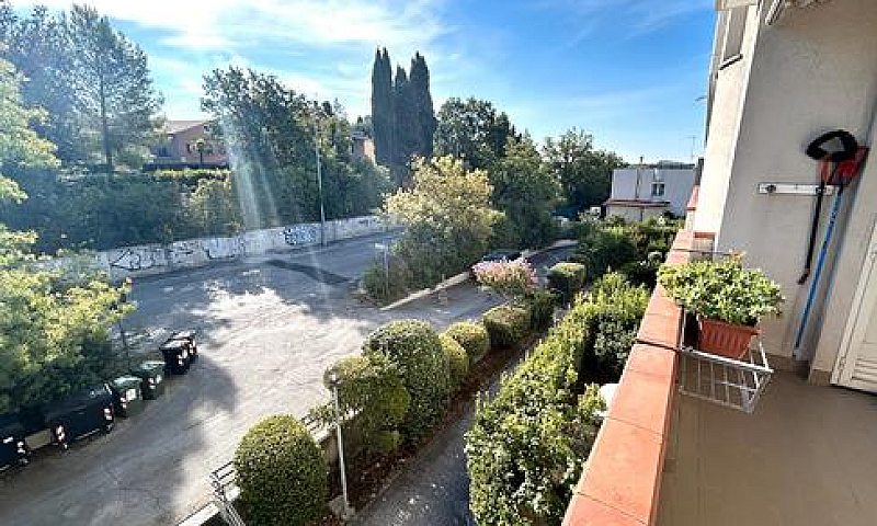 Via Flavia, Vieni A ...