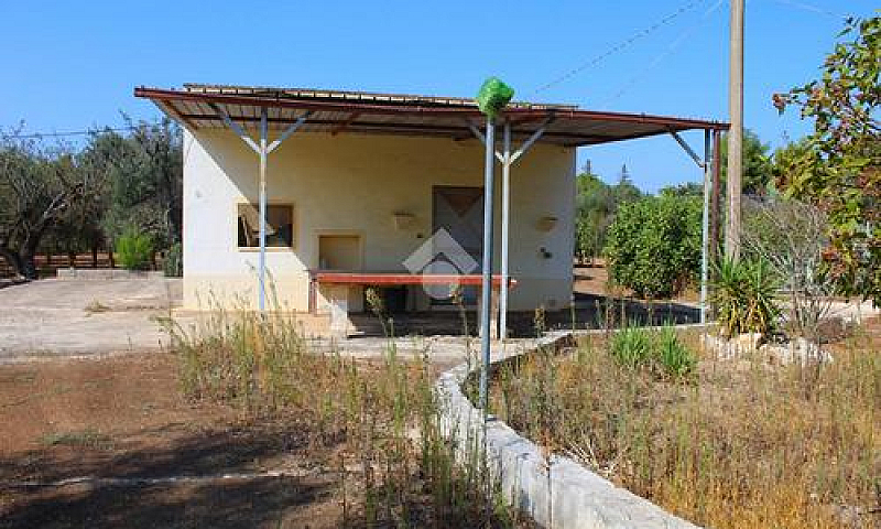 3 Locali A Carovigno...