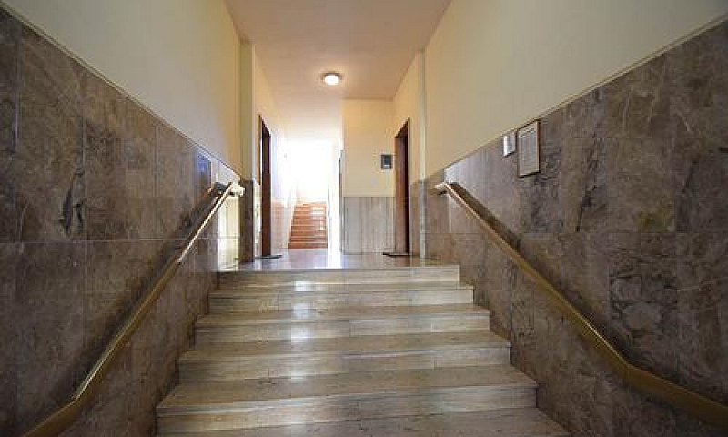 Rif.2460Ra65202| App...
