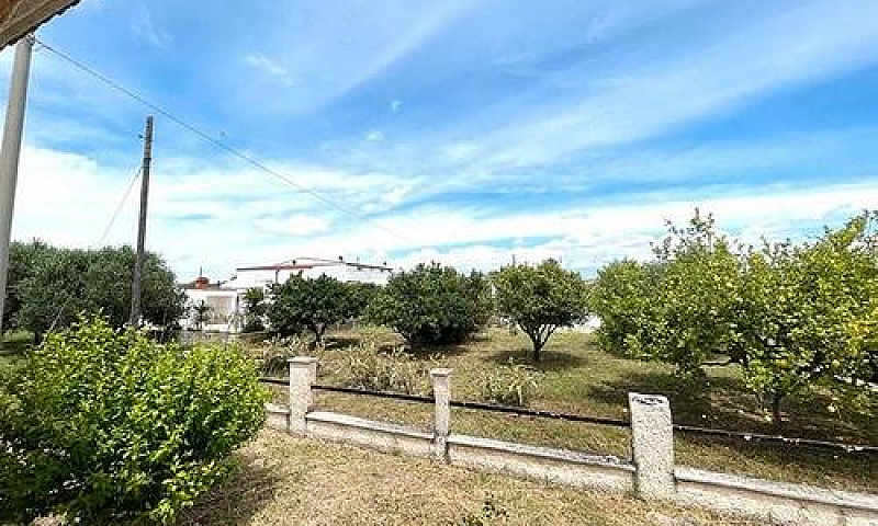 Rif.4097 Viale Sarde...