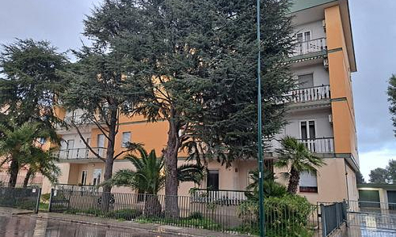 S. Cesario - Apparta...