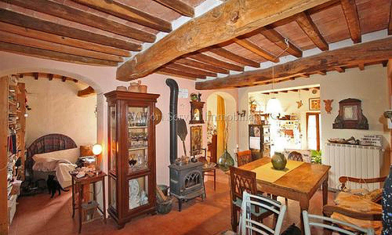Trequanda (Si), Loc....