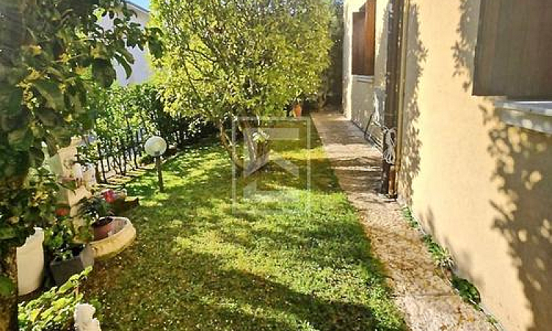 Appartamento - Desen...