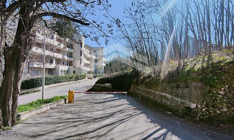 Appartamento - Campo...