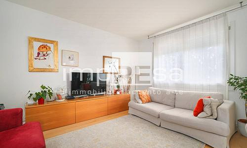 Appartamento - Silea...