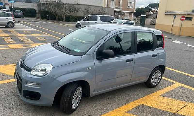 Vendita Fiat Panda...