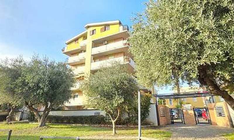Ampio Quadrilocale C...