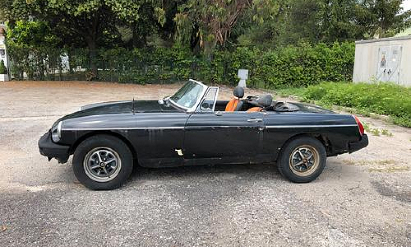 Mg B Spider...