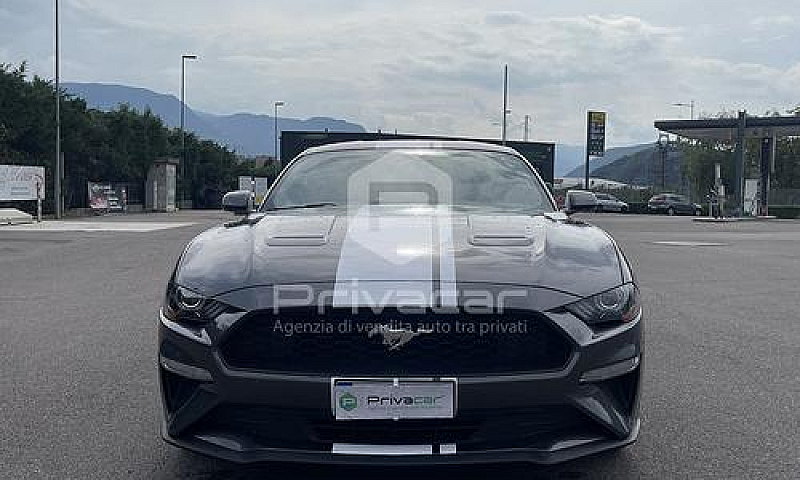 Ford Mustang Fastbac...