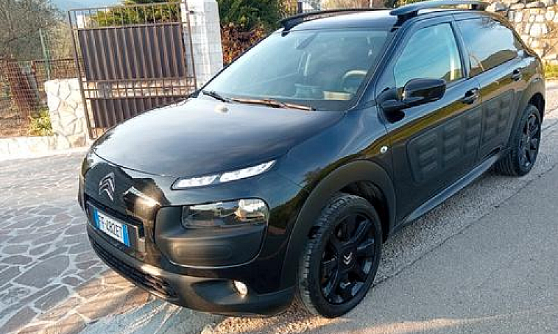 C4 Cactus Unipro Km ...