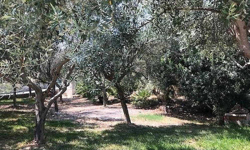 Noto - Appartamento ...