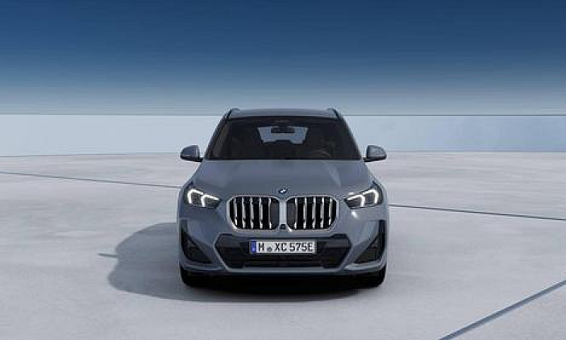 Bmw X1 Xdrive25E Msp...