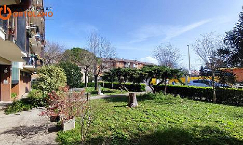 Appartamento - Monfa...