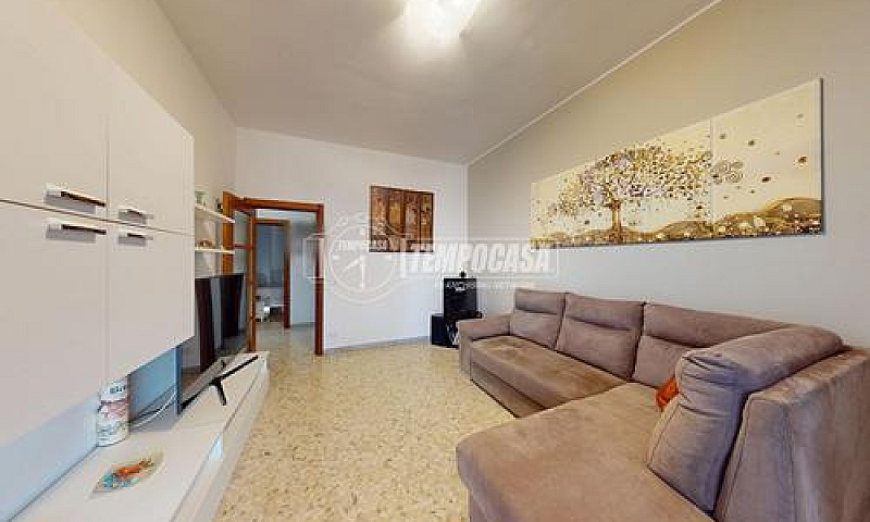 Trivani - Corso Alci...