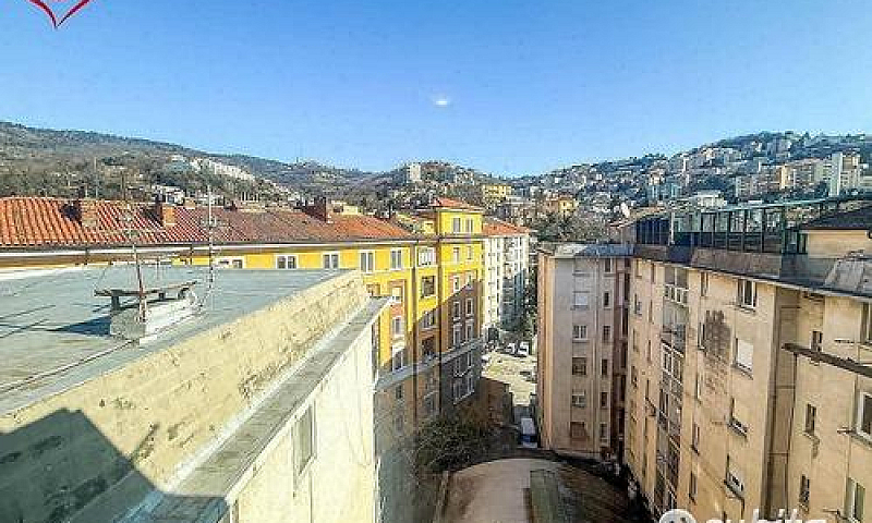 Scala Santa - Triloc...