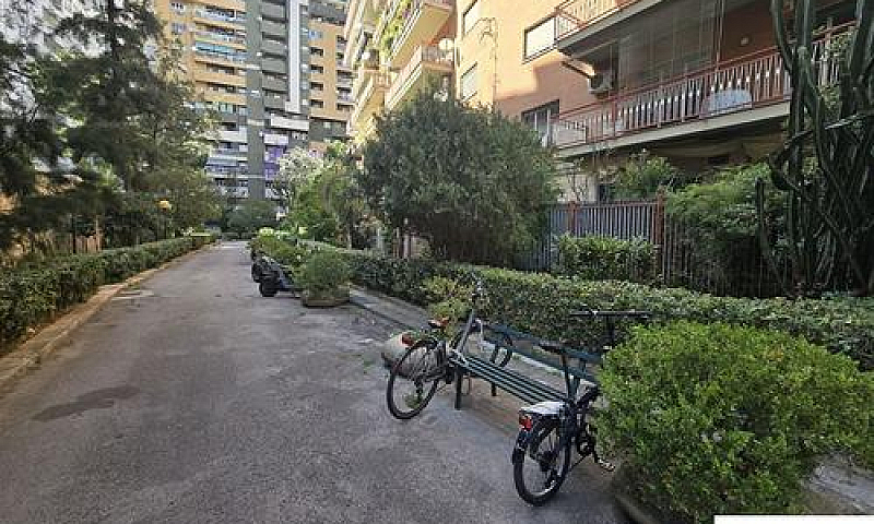 Croce Rossa: 5 Vani ...