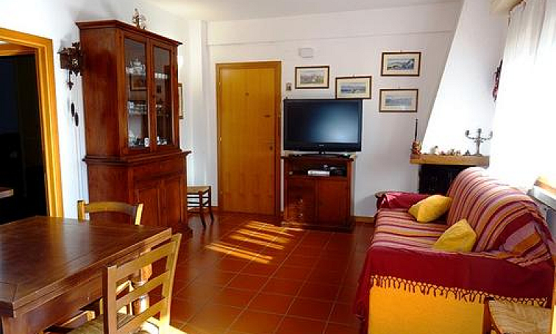 Cecina, Zona Coop, 4...
