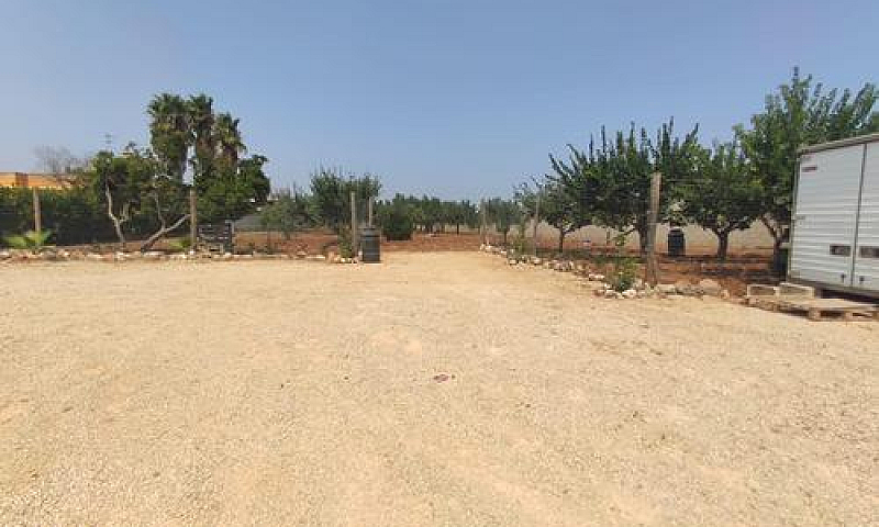 Terreno Agricolo(Fru...