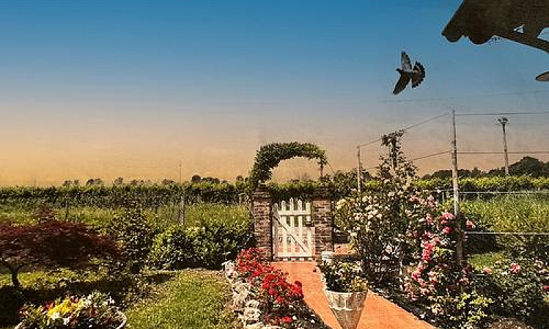 Villa In Stile Medit...