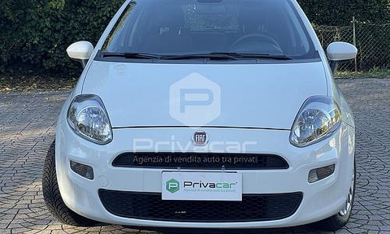 Fiat Punto 1.2 8V 5 ...