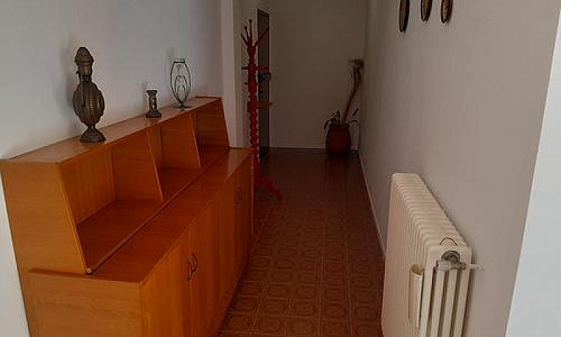 Spazioso Bilocale Zo...